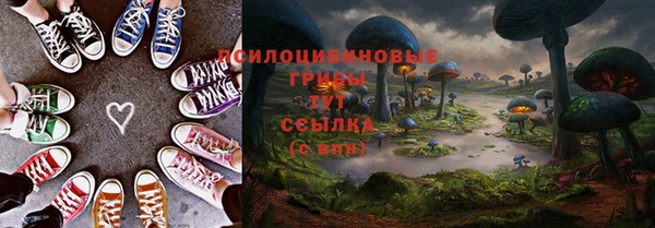 синтетический гашиш Алексин