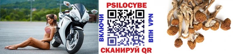 Галлюциногенные грибы MAGIC MUSHROOMS  Завитинск 